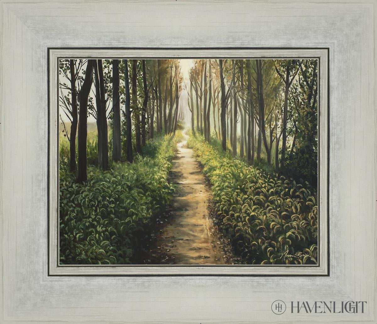 Forest Walkway - Beautiful Wooden Pathway for Gardens, Parks & Trails | Perfect for Outdoor Decor & Nature Walks