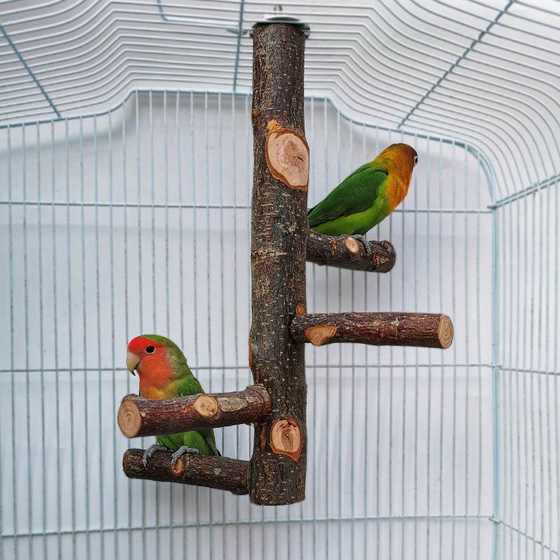 Perch & Play: Natural Wood Parrot Stand - Bird Play Gym for Parakeets, Cockatiels & Small Birds | Perfect for Playtime, Exercise & Training at Home