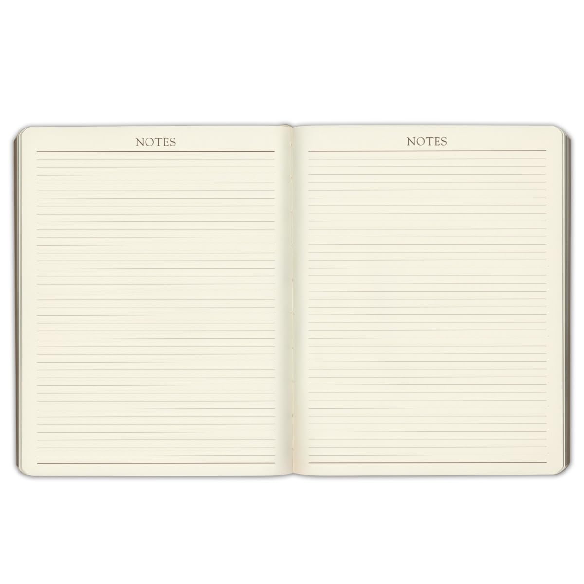 Gallery Leather 2025 Large Monthly Planner - Elegant Bound Calendar & Notebook with Gold-Gilded Edges, 18-Month (Acadia Cactus, 9.75 x 7.5 Inches) - Perfect for Office, School & Personal Organization
