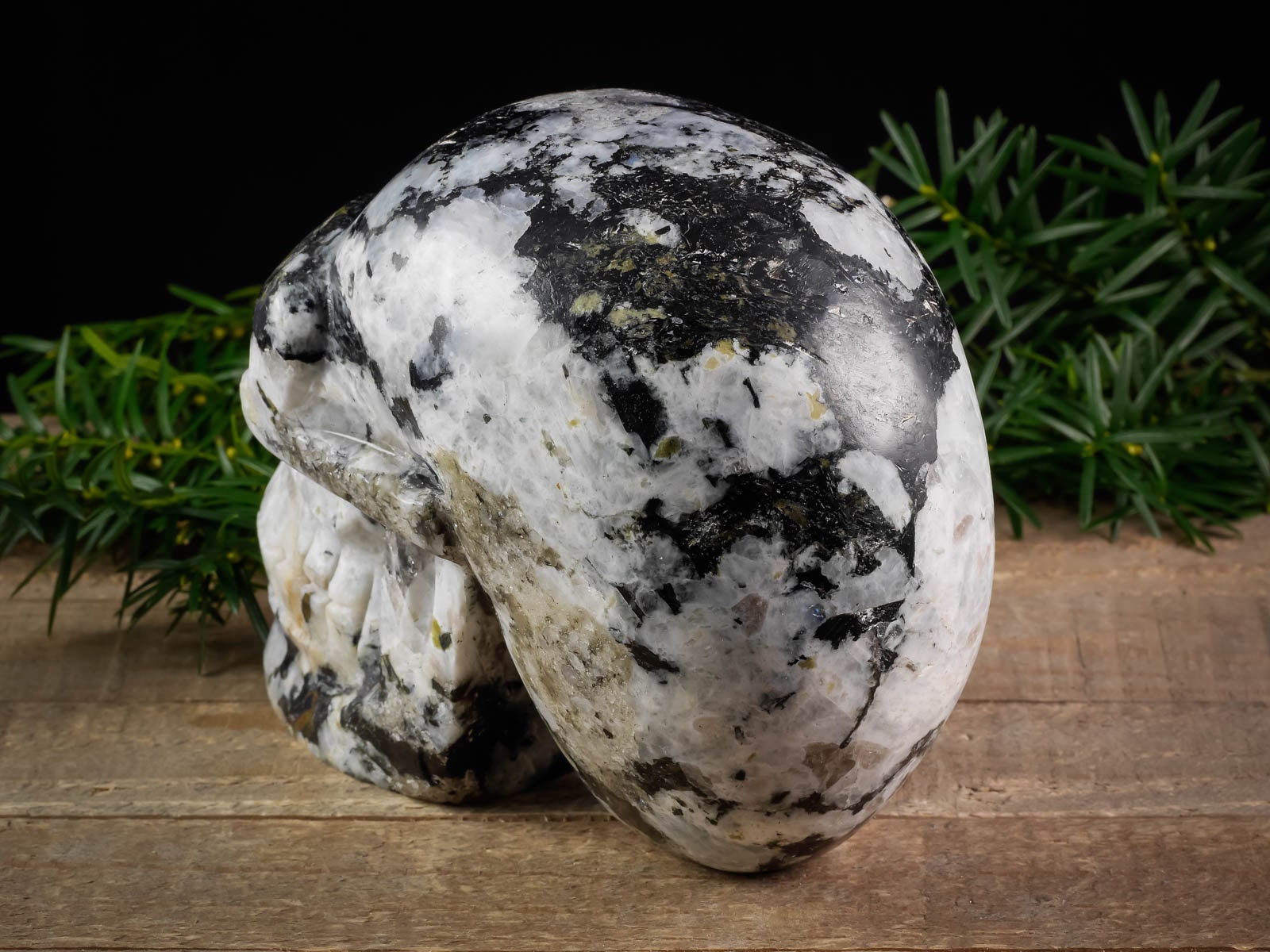 MOONSTONE Crystal Skull - Large Gothic Home Decor for Halloween & Memento Mori - Pastel Goth Decor for Living Room, Altar & Witchy Aesthetic