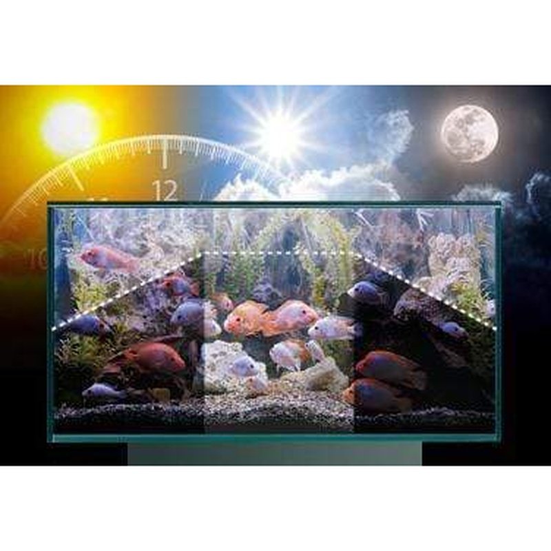 Fluval Aquasky 2.0 LED Light for Flex Aquarium 123L (32.5 Gallon) - Full Spectrum Lighting for Planted Tanks & Fish Tanks (Model 14549) - Perfect for Home Aquariums, Office Decor & Aquatic Plant Growth