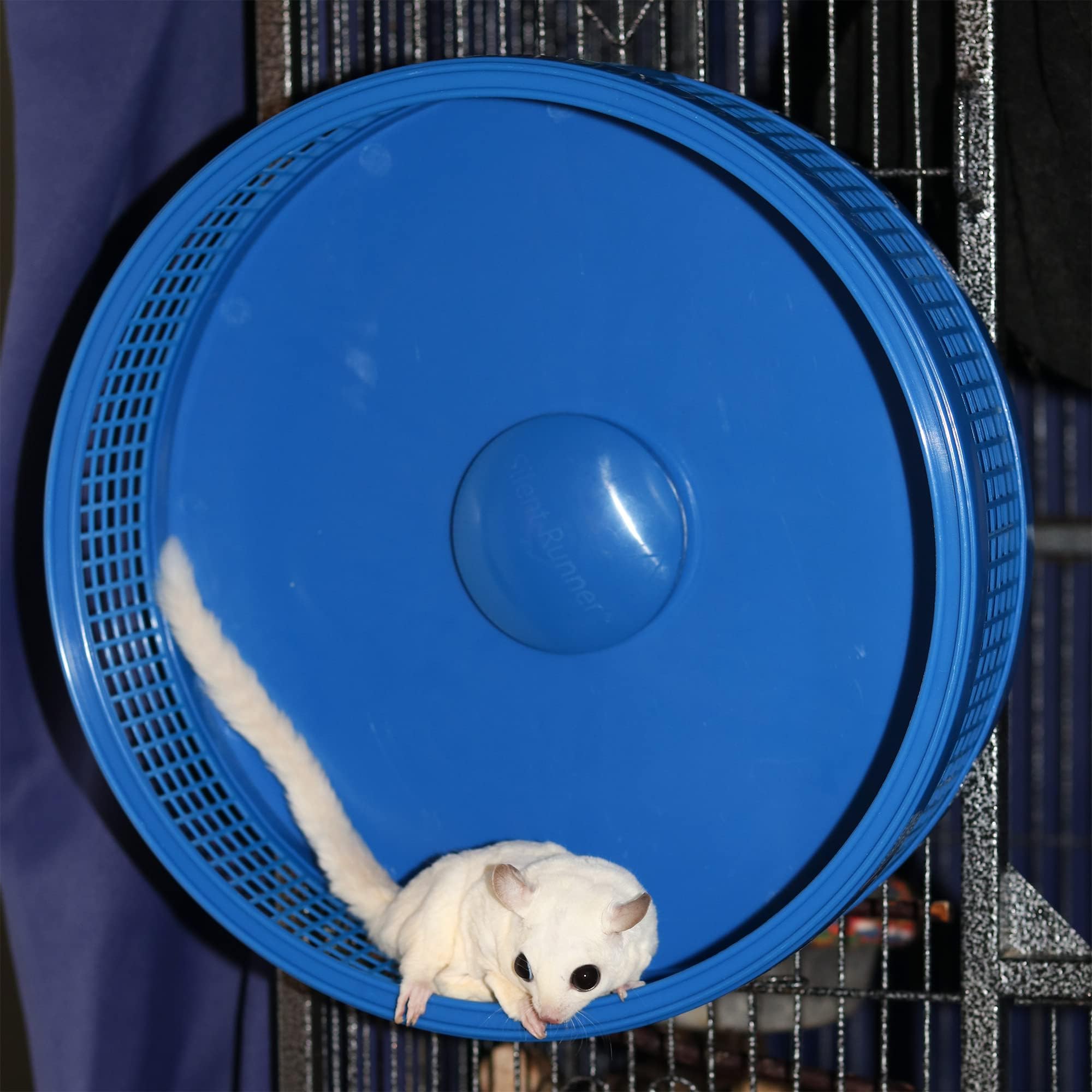 Silent Runner Pro - Quiet Exercise Wheel for Sugar Gliders | Noiseless Hamster Running Wheel with Secure Attachment (Black) | Perfect for Small Pets' Nighttime Activity & Cage Enrichment