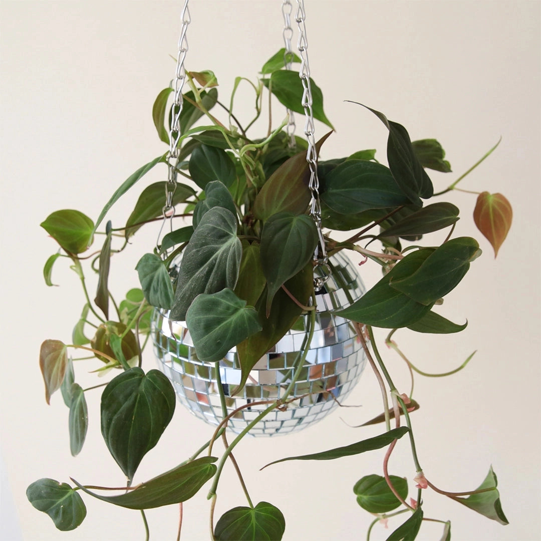 Disco Hanging Planter - Modern Geometric Glass Planter for Indoor Plants, Succulents & Air Plants - Perfect for Home, Office & Boho Decor