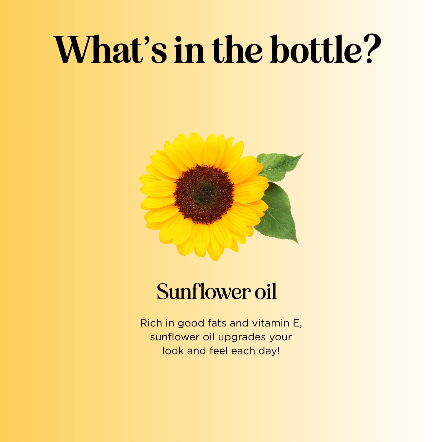 Pure Organic Sunflower Seed Oil - Cold Pressed, Unrefined, Non-GMO - Perfect for Cooking, Baking, and Skin Care