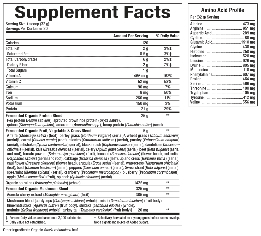 Organic Fermented Protein & Greens Powder by Whole Earth & Sea - Plant-Based Superfood Supplement for Energy, Digestion & Detox - Perfect for Smoothies, Shakes & Post-Workout Recovery