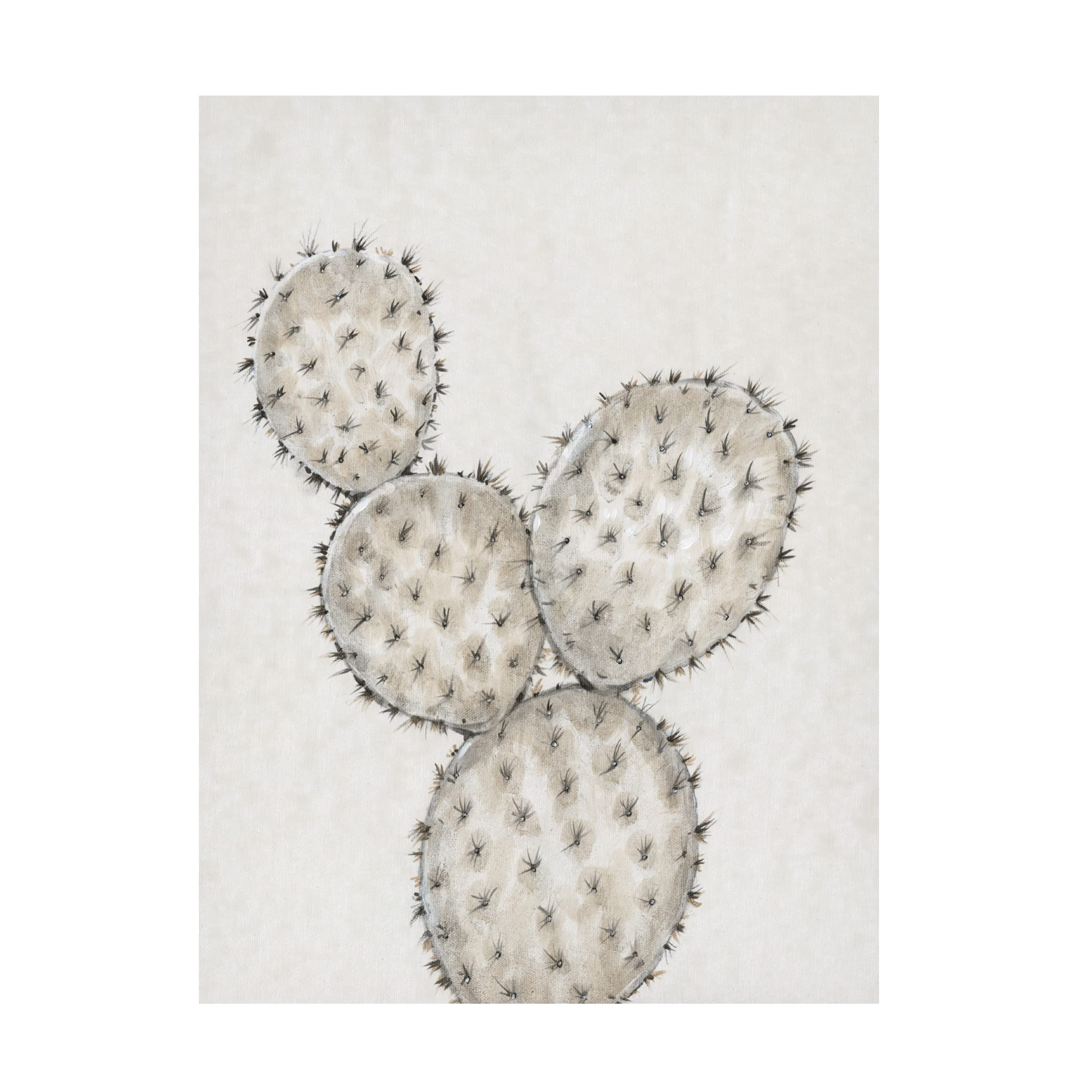 Trademark Fine Art 'Cactus Study IV' by Tim OToole - Premium Canvas Wall Art for Living Room, Bedroom & Office Decor