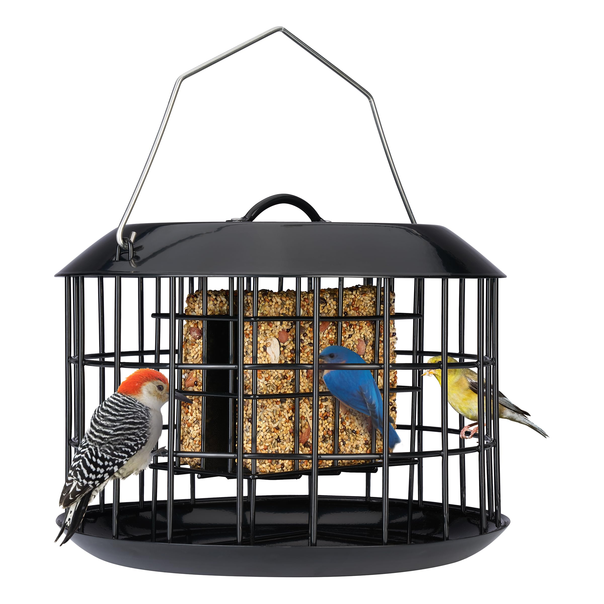Kingsyard Squirrel Proof Suet Feeder - All Metal Hanging Bird Feeder with Double Suet Cake Capacity, Tray & Weatherproof Design for Outdoor Use - Perfect for Backyard, Garden & Wildlife Watching (Black)