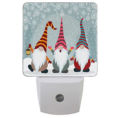 Gnomes Elf