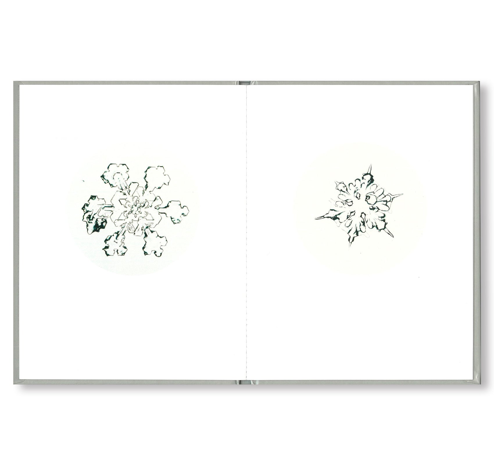 ONE PICTURE BOOK #80: SNOW LETTER by Risaku Suzuki - Japanese Photography Art Book for Collectors, Perfect for Home Decor & Gift Giving