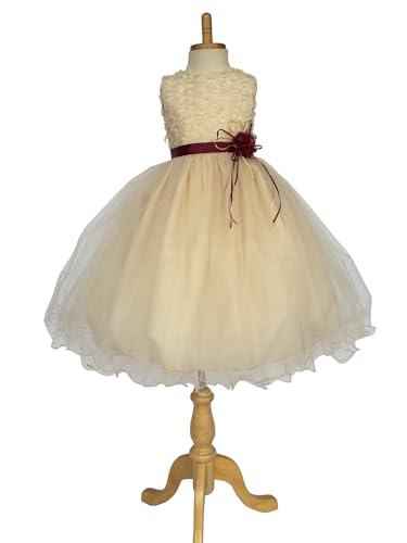 Champagne Dress