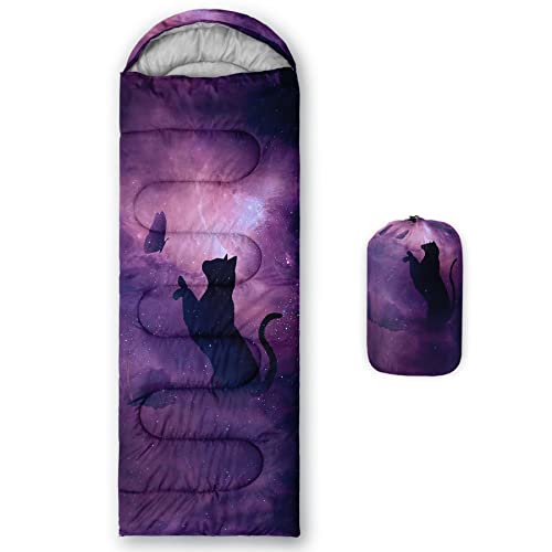 Galaxy Butterfly Cat 10
