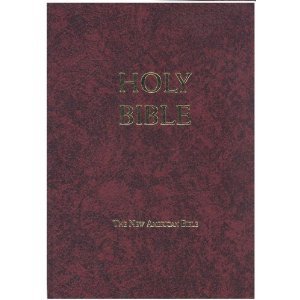 Holy Bible - School and Church Edition | KJV Bible for Students, Teachers & Worship | Perfect for Sunday School, Bible Study & Religious Education