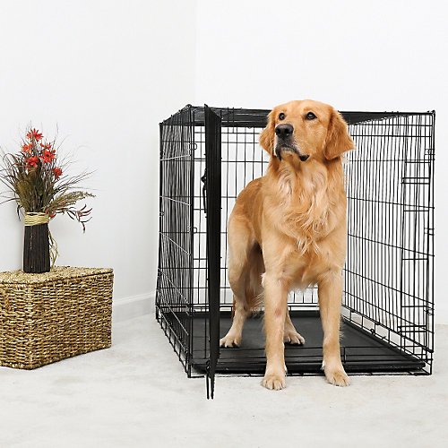 Durable Folding Dog Crate 36