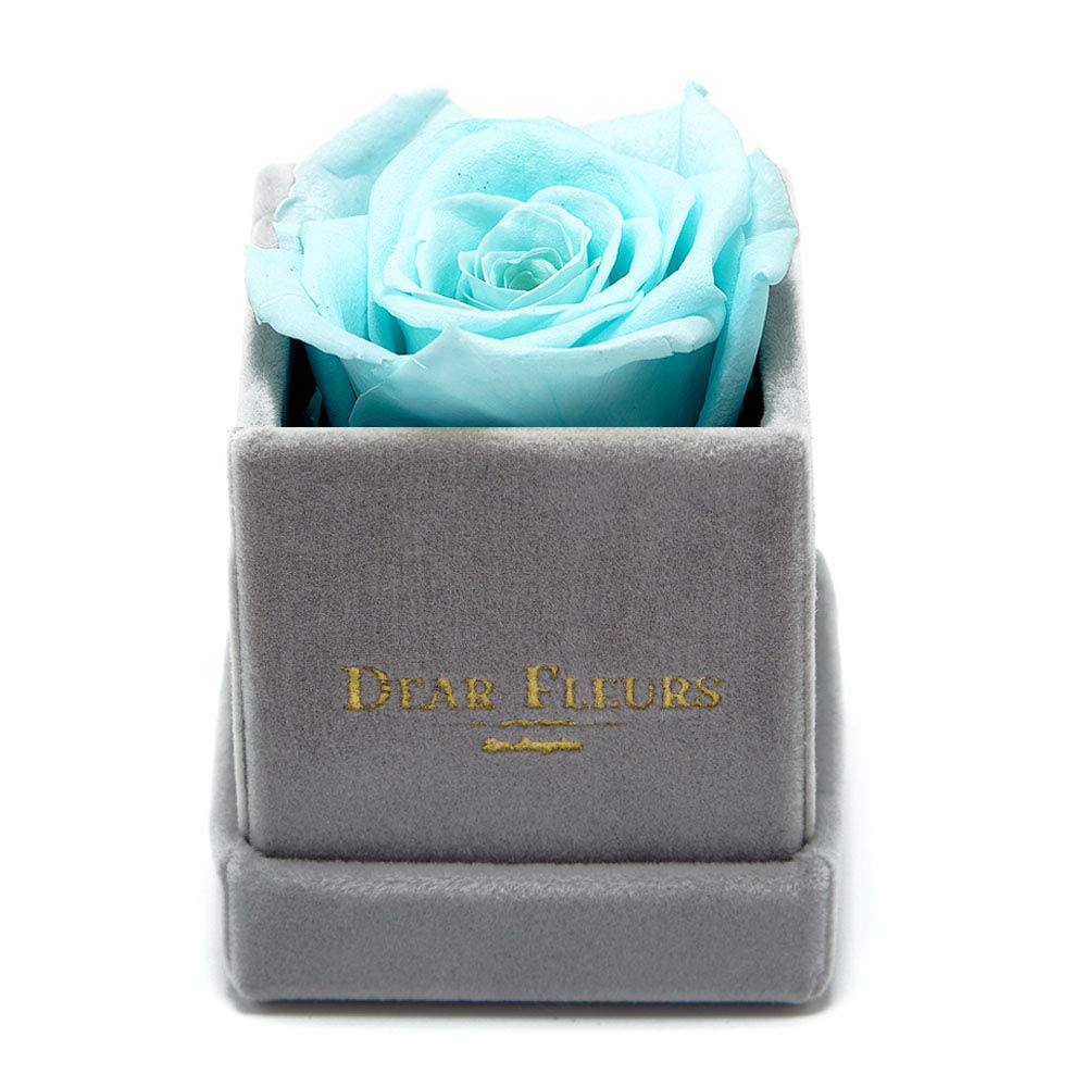 Petit Rose | Real Preserved Roses That Last 1 Year | Tiffany Blue & Grey Velvet Gift Box | Anniversary, Valentine's Day & Wedding Decor