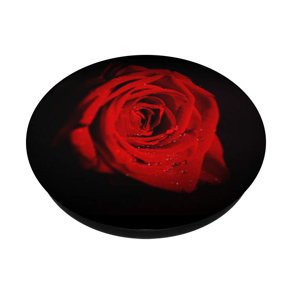 Red Rose PopSockets Swappable PopGrip - Phone Grip Stand for iPhone & Samsung - Perfect for Selfies, Video Calls & Secure Phone Handling