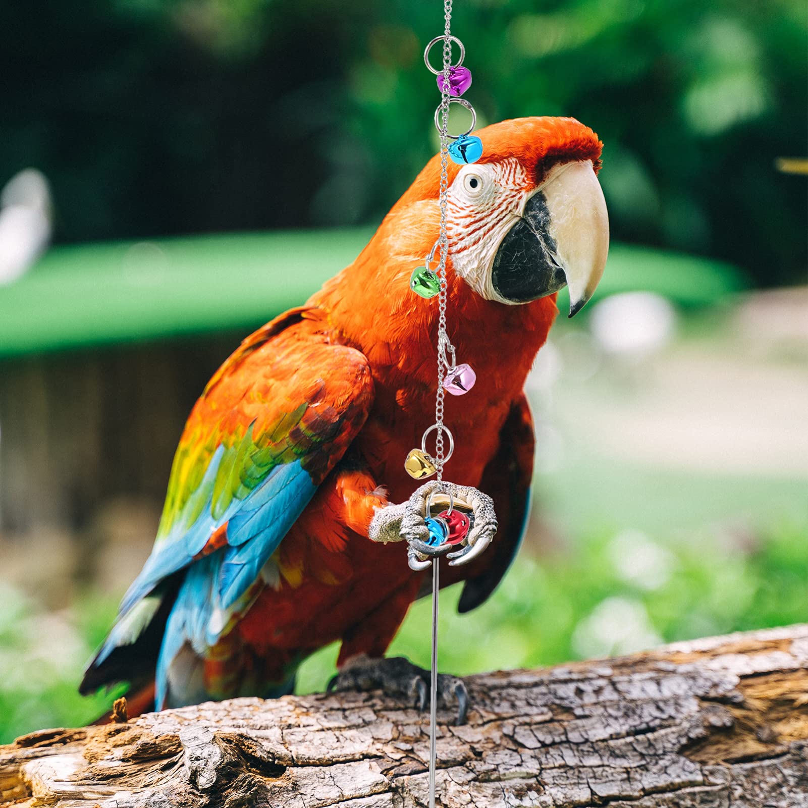 Balacoo 3-Piece Stainless Steel Bird Swing Toy Set - Chicken Swing, Parrot Chewing Toy & Pecking Stand for Cage - Durable Pet Toys for Parrots, Chickens & Poultry - Perfect for Play, Exercise & Mental Stimulation