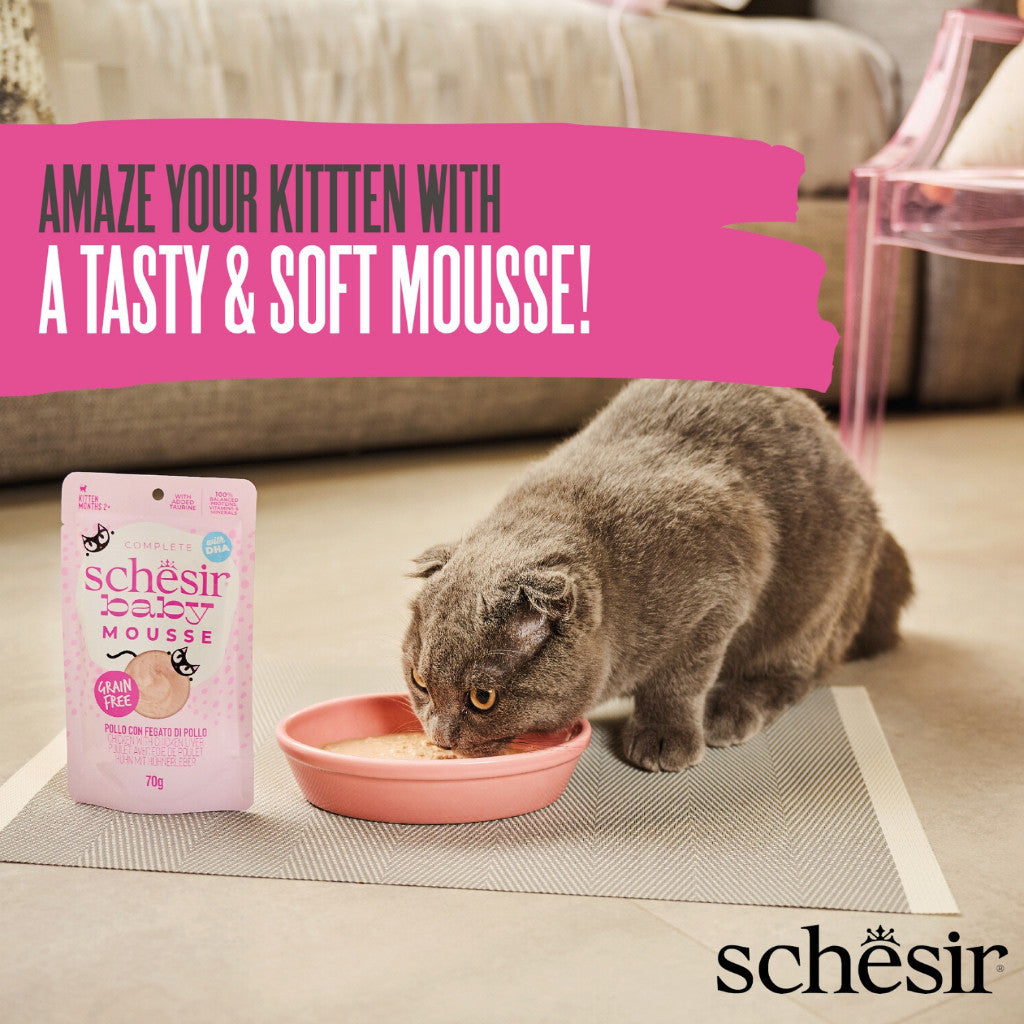 Schesir Grain-Free Kitten Wet Food - Complete & Balanced Nutrition with Wholefood Fillet & Velvet Mousse (70g) - Perfect for Growing Kittens and Picky Eaters