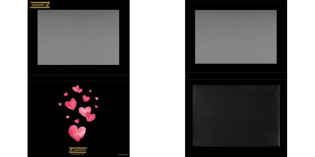 Custom Extra Large Z Palette - Magnetic Makeup Palette for Eyeshadows & Blush - Perfect for Professional Makeup Artists & Travel