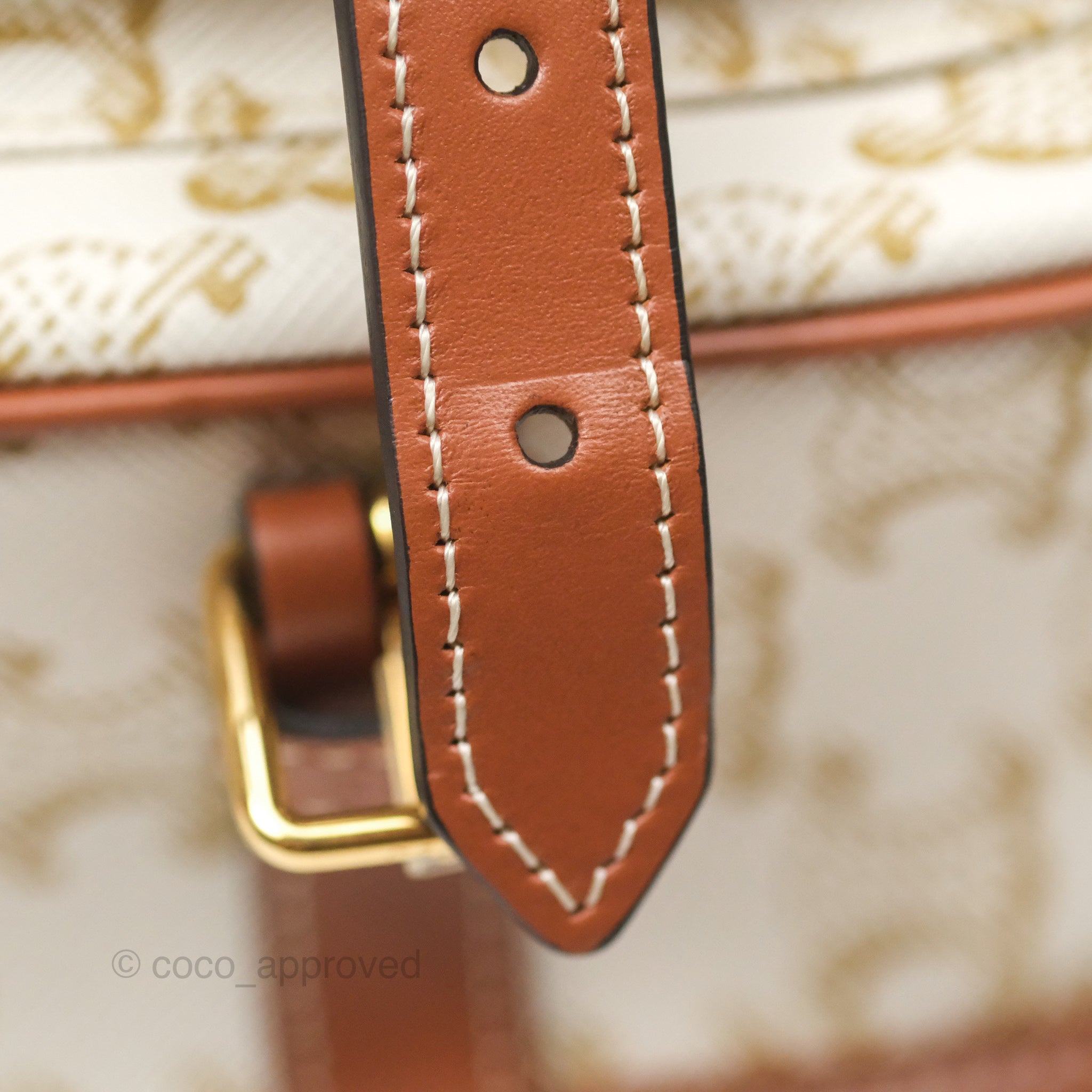 Celine Medium Folco Bag Triomphe Canvas White - Luxury Designer Handbag for Women, Perfect for Work, Travel & Everyday Use