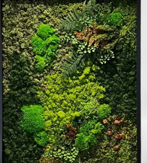 Live Preserved Moss Wall Art - Unique Handmade Moss Art in Wooden Frame - Custom Home & Office Decor - Made in USA (17