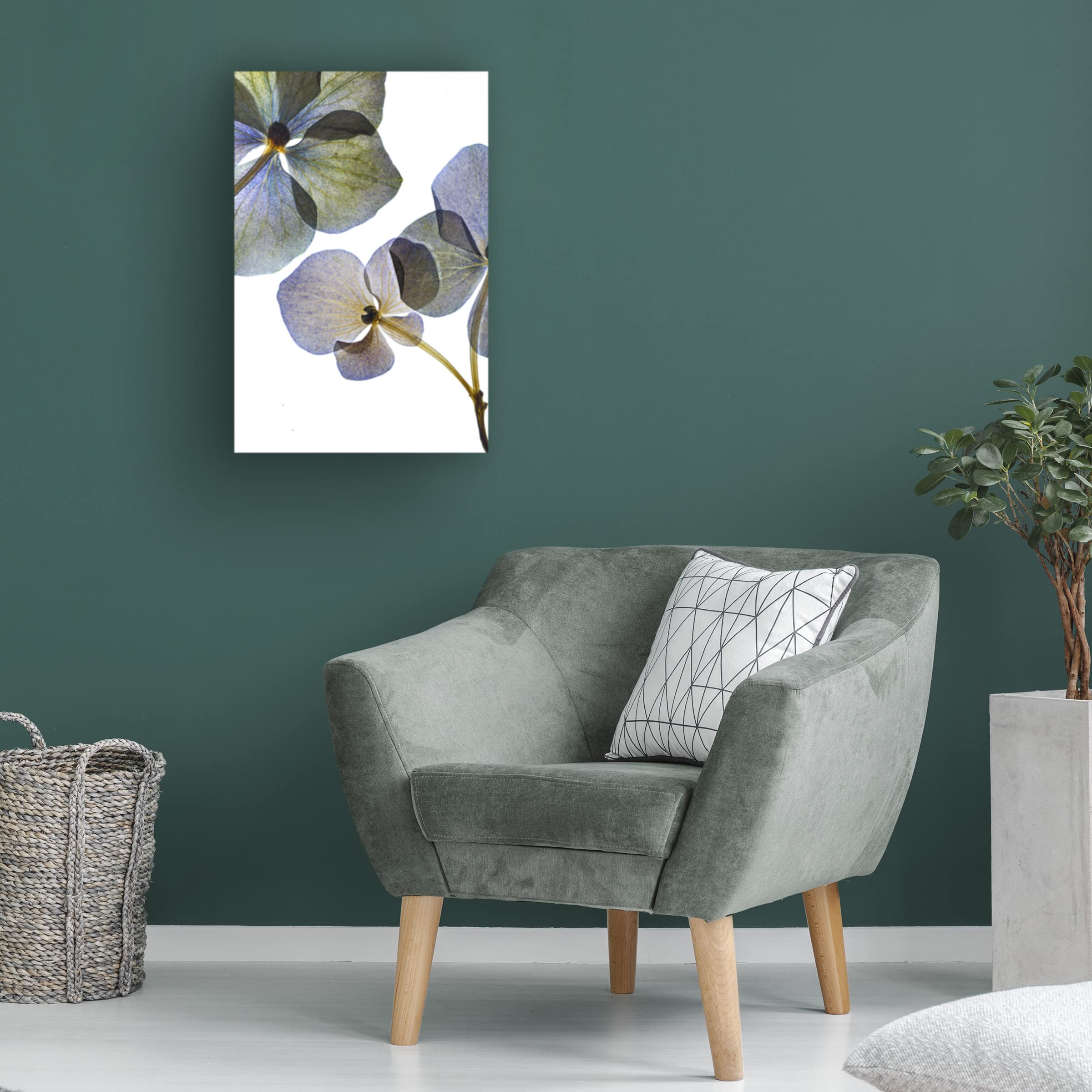 Trademark Fine Art 'Botanical 8' Canvas Wall Art Print by Lenka - Nature Inspired Floral Decor for Living Room, Bedroom & Office