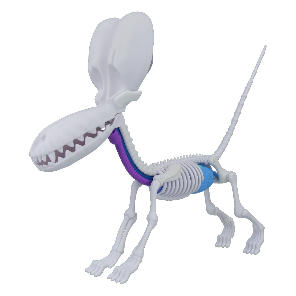 Jason Freeny Sky Blue Anatomy Balloon Dog Sculpture - Unique Art Toy for Home Decor, Office Display & Pop Art Collectors