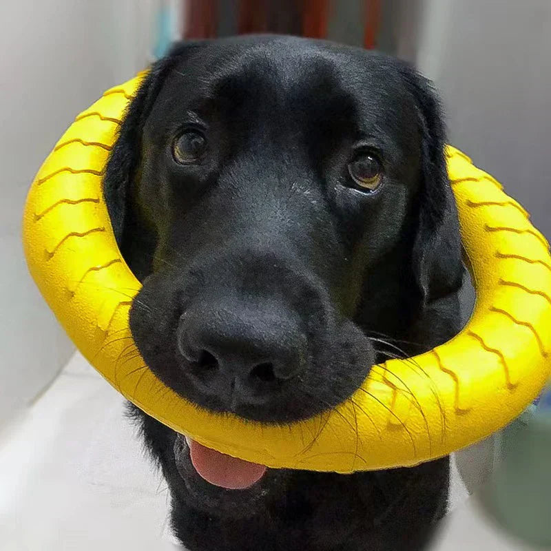 Durable Dog Chewing Ring - Tough Chew Toy for Aggressive Chewers | Interactive Pet Toy for Puppies & Large Dogs | Perfect for Teething, Boredom Relief & Dental Health