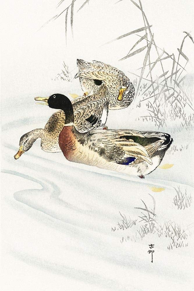 Three Ducks in Shallow Water with Reeds by Ohara Koson - 16x24 Inch Vintage Japanese Art Print Poster - Perfect for Home Decor, Office Wall Art & Gift Giving