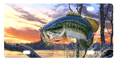 Bass Fish Jumping Hook Novelty License Plate - 6