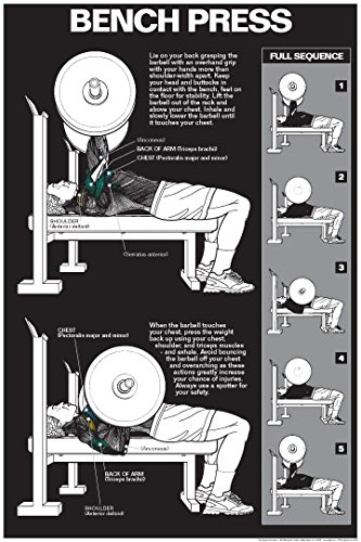 Bench Press Laminated Chart - Weightlifting Exercise Guide for Home & Gym Workouts - Perfect for Strength Training, Bodybuilding & Fitness Enthusiasts