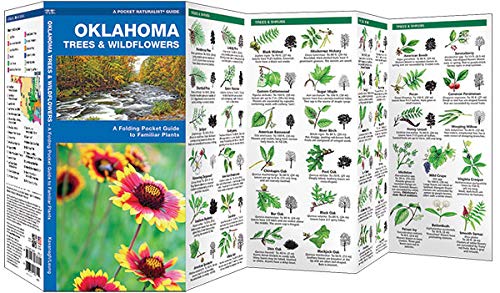 Oklahoma Trees and Wildflowers Guide - Familiar Species Identification (Pocket Naturalist by Waterford Press) | Nature Observation in North America | Perfect for Hiking, Camping & Outdoor Exploration
