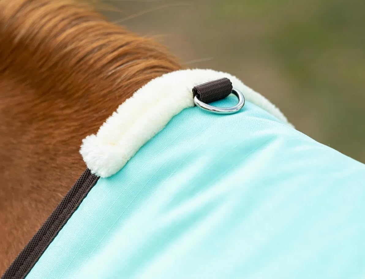 Reinsman Circle Y Classic Turnout Blanket - 300g 600D Waterproof Horse Blanket for All Weather Protection (75