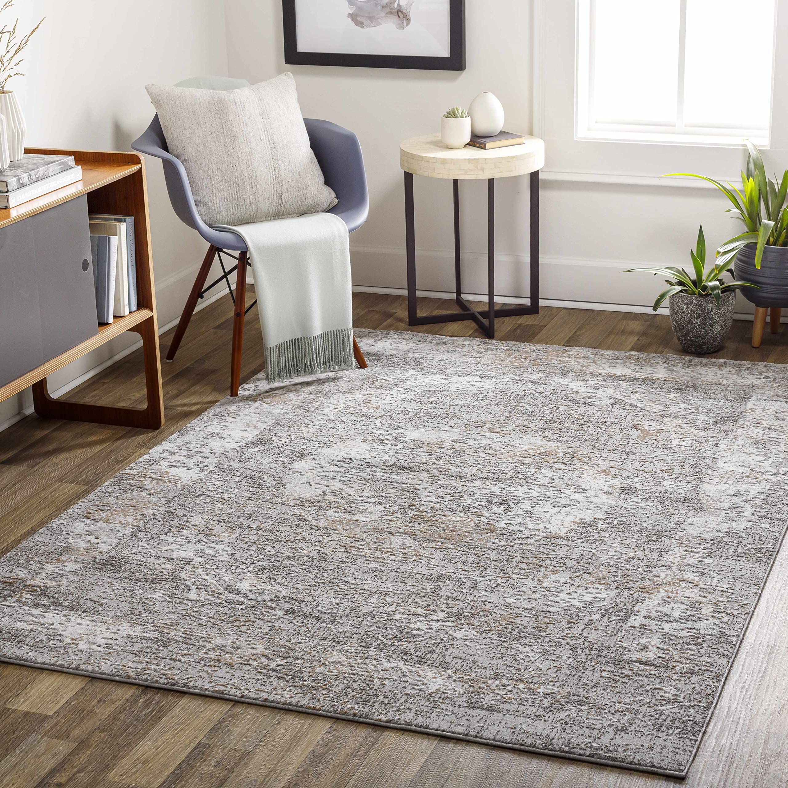 Hauteloom Zarraga Traditional Gray and Brown Area Rug 5'3