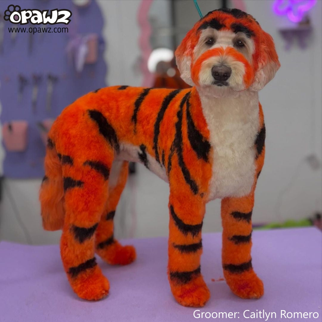Flame Orange Dog Hair Dye (PD18) - Safe & Vibrant Pet Fur Color for Dogs - Perfect for Halloween, Costume Parties & Creative Grooming