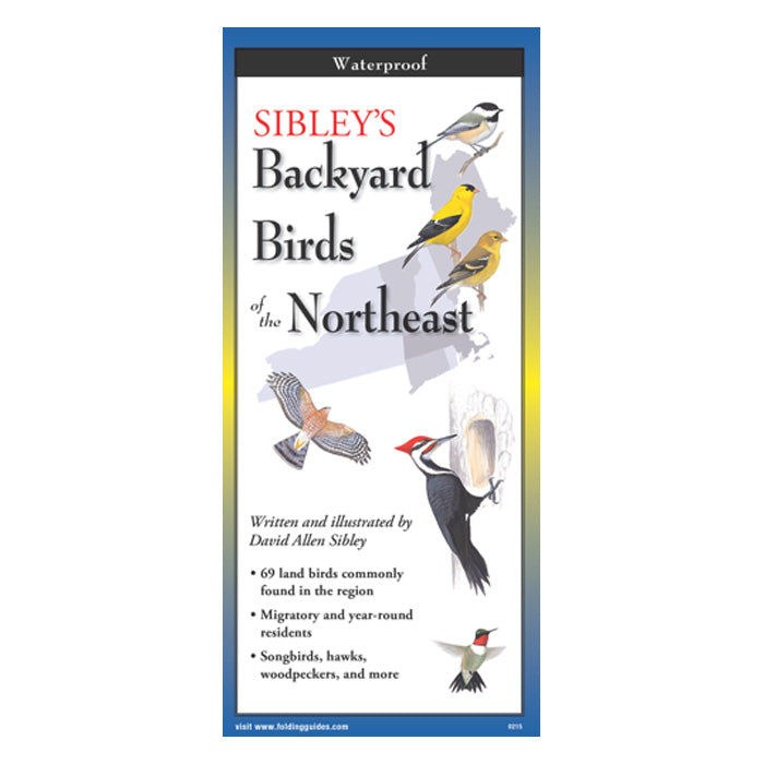 Sibley's Backyard Birds of the Northeast Folding Guide - Bird Watching, Identification & Nature Exploration for Outdoor Enthusiasts