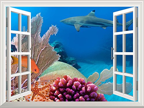 Coral Colony