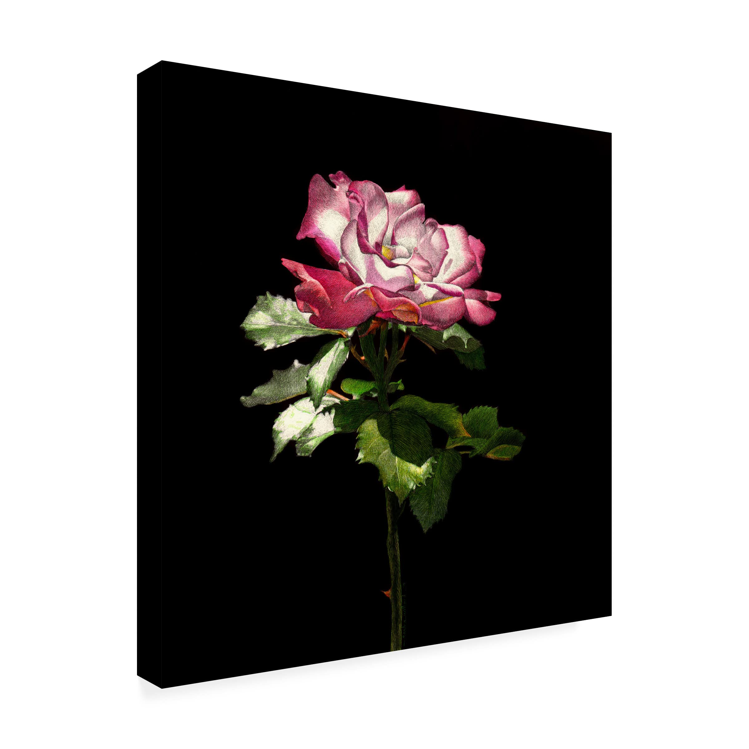 Evening Rose Canvas Art Print by Sandra Willard - Floral Wall Decor for Living Room, Bedroom & Office - Handmade Oil Painting Reproduction on Gallery Wrapped Canvas
