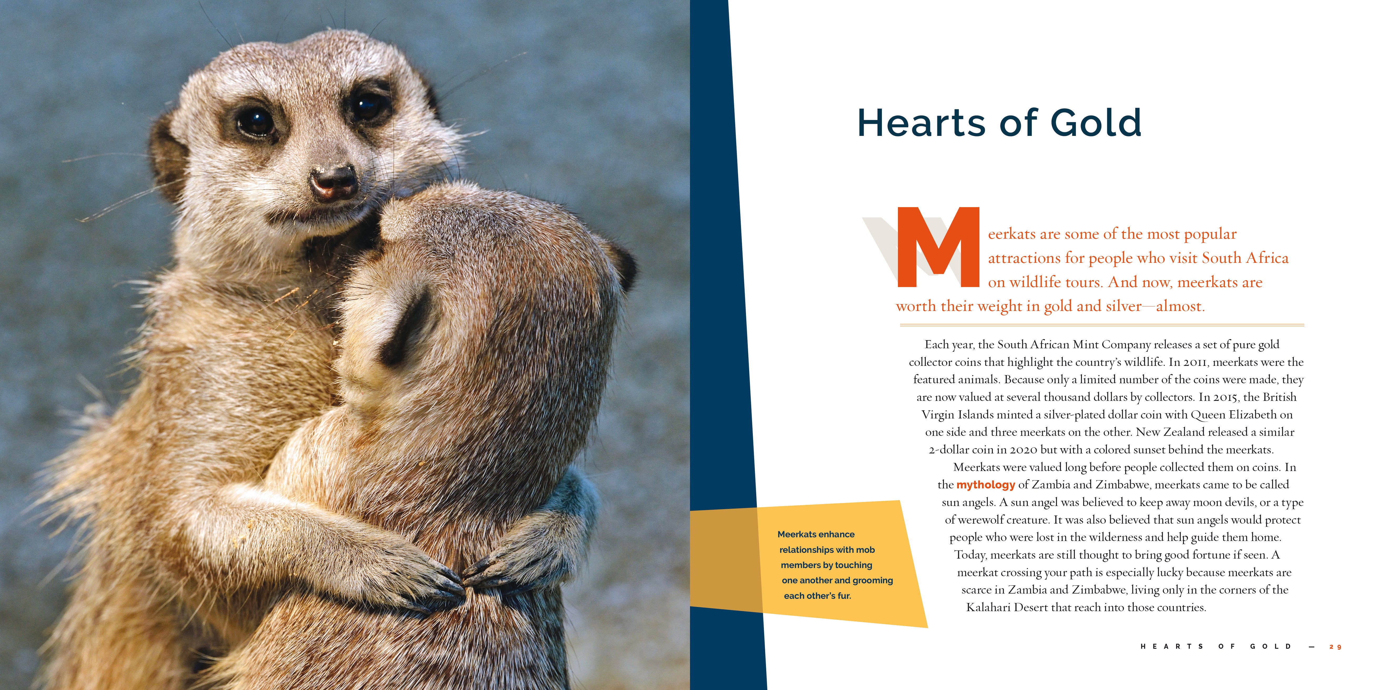 Meerkats Book 9781640267930 - Wildlife Animal Facts & Photos for Kids, Adults - Perfect for Learning, Gifts & Classroom Use
