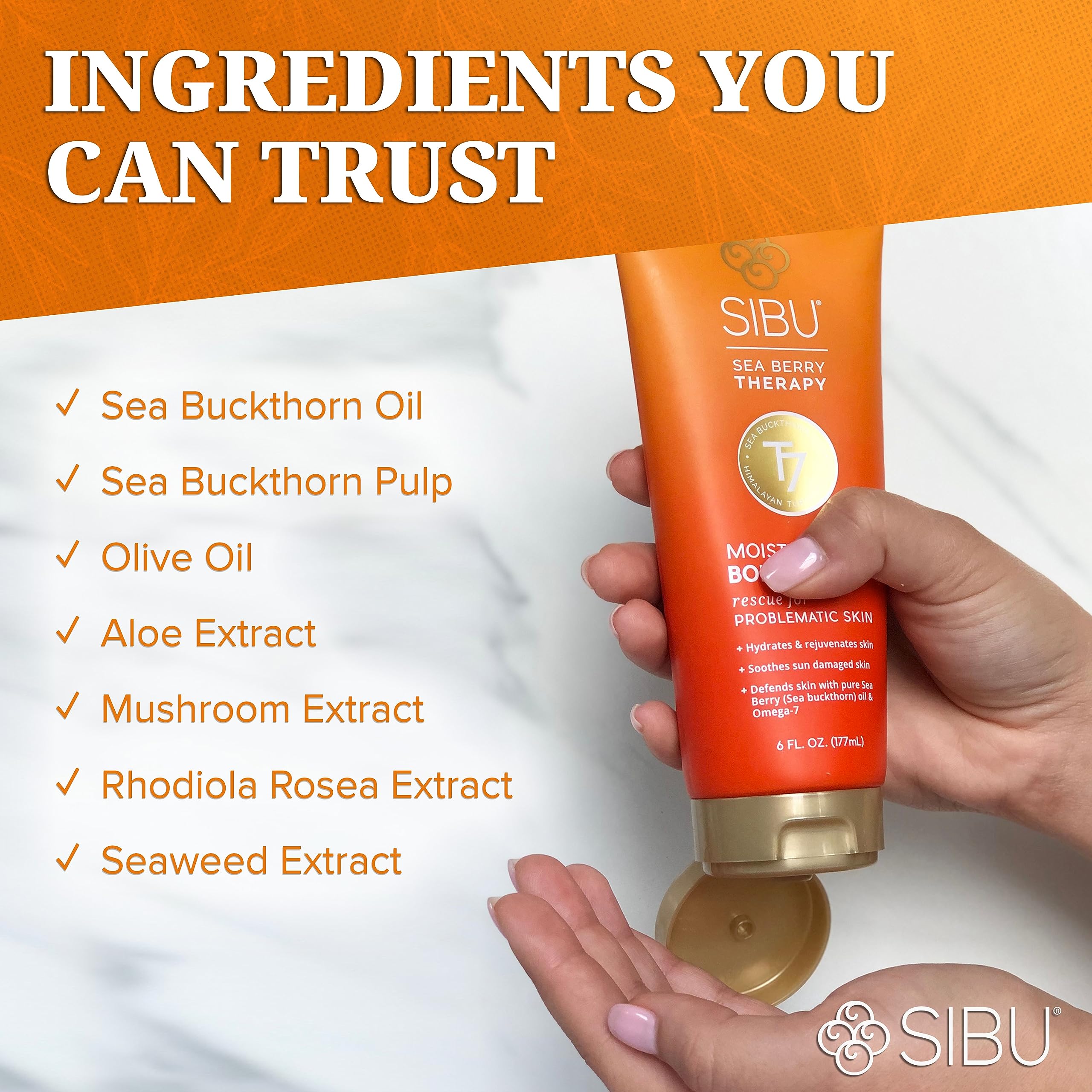 Premium Himalayan Sea Buckthorn Moisturizing Body Cream - 6oz Lightweight Hydrating Lotion for Dry Skin Repair & Protection | Daily Moisturizer for Face, Hands & Body Care