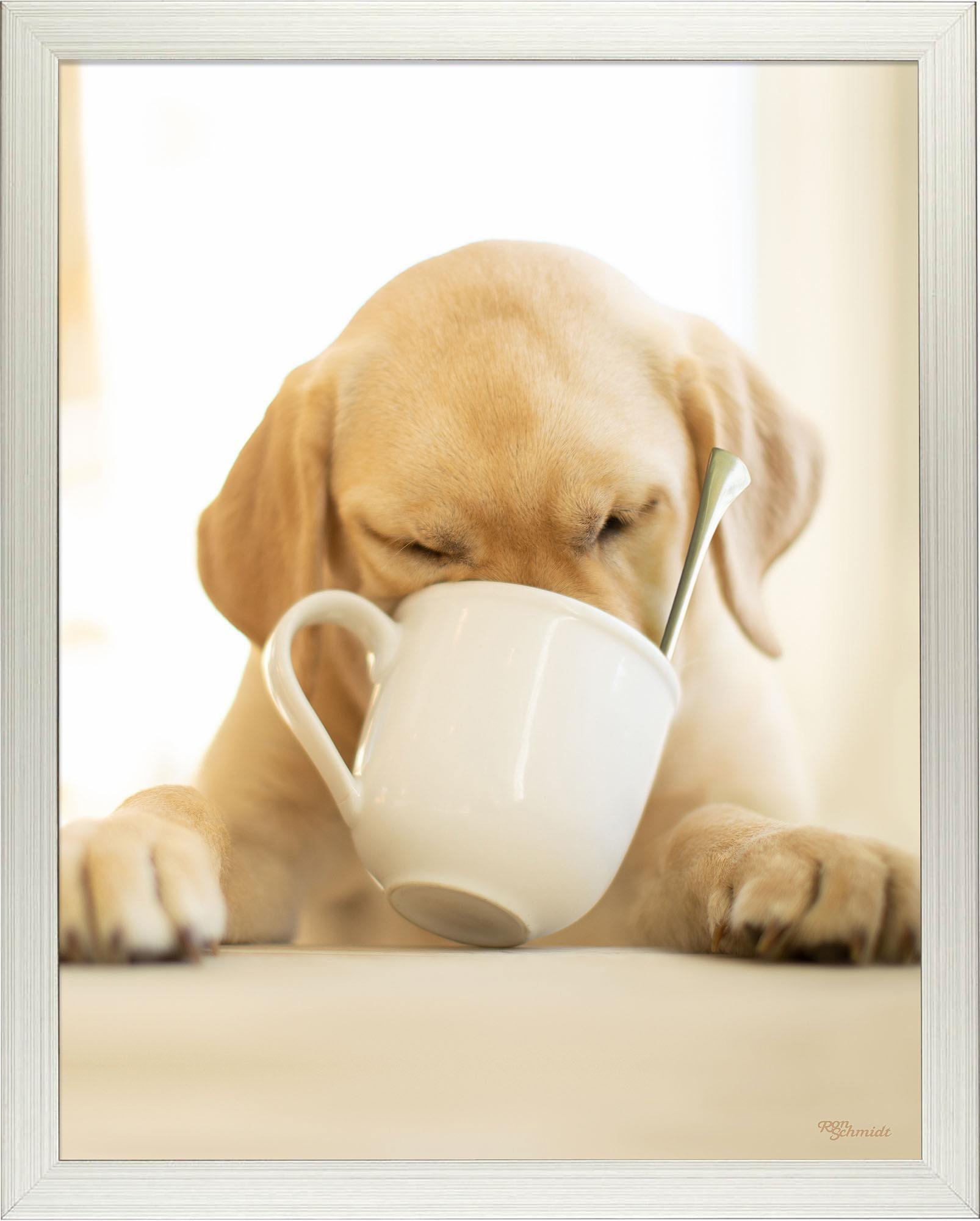 Premium Coffee Mug with Unique Art Prints - Perfect for Home, Office & Gifts | Ceramic Travel Mug for Coffee & Tea Lovers