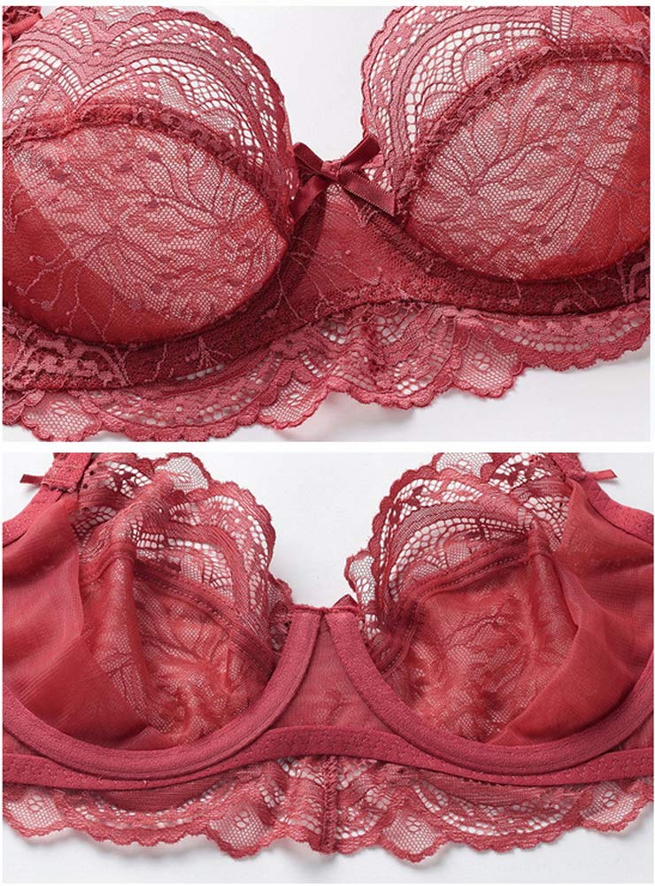 Women's Ultra-Thin Translucent Lace Embroidery Bra and Panty Set - Sexy Comfortable Lingerie for Everyday Wear & Special Occasions