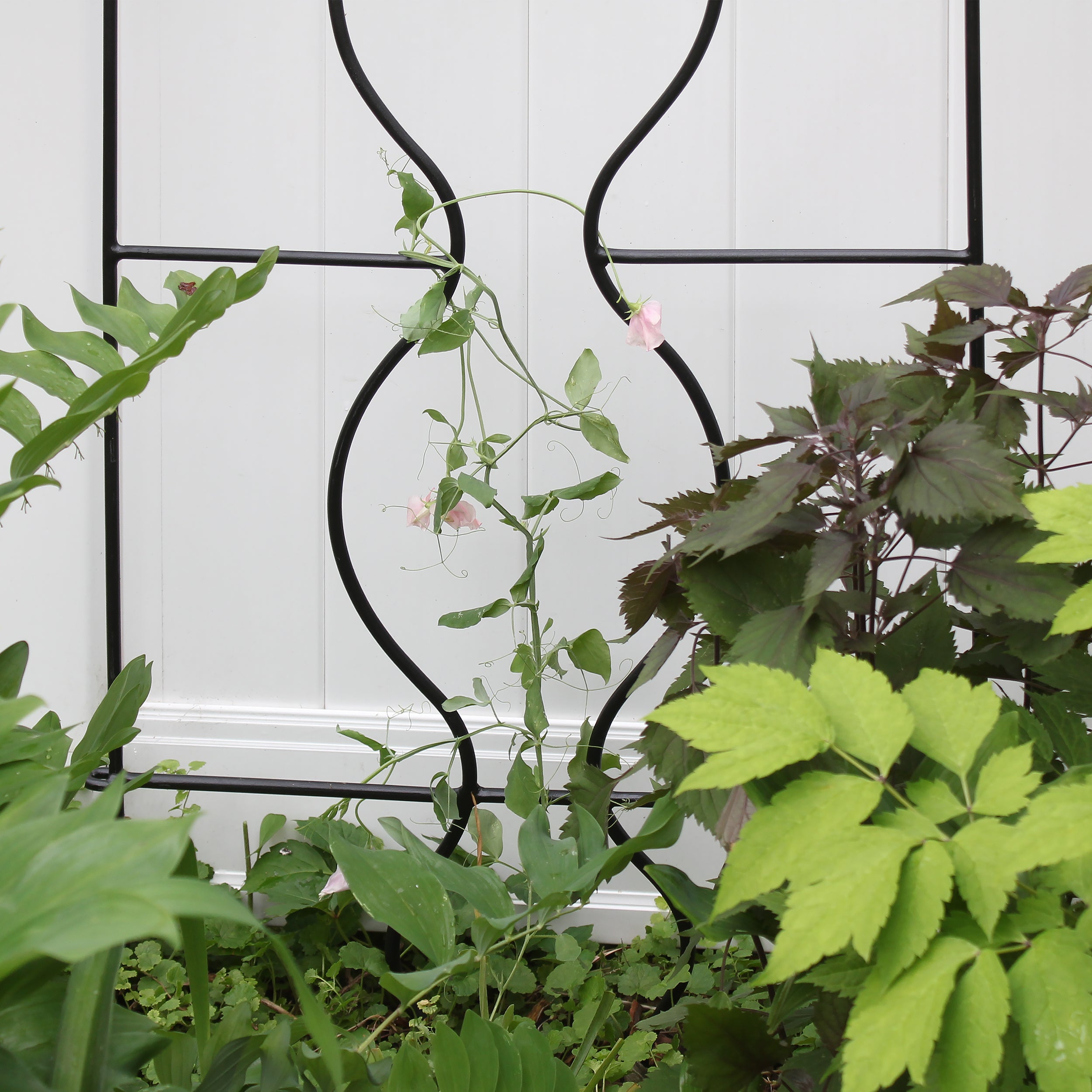 Orangery Garden Trellis Set - Decorative Metal Plant Support for Climbing Roses, Vines & Flowers - Perfect for Outdoor Gardens, Patios & Backyard Landscaping