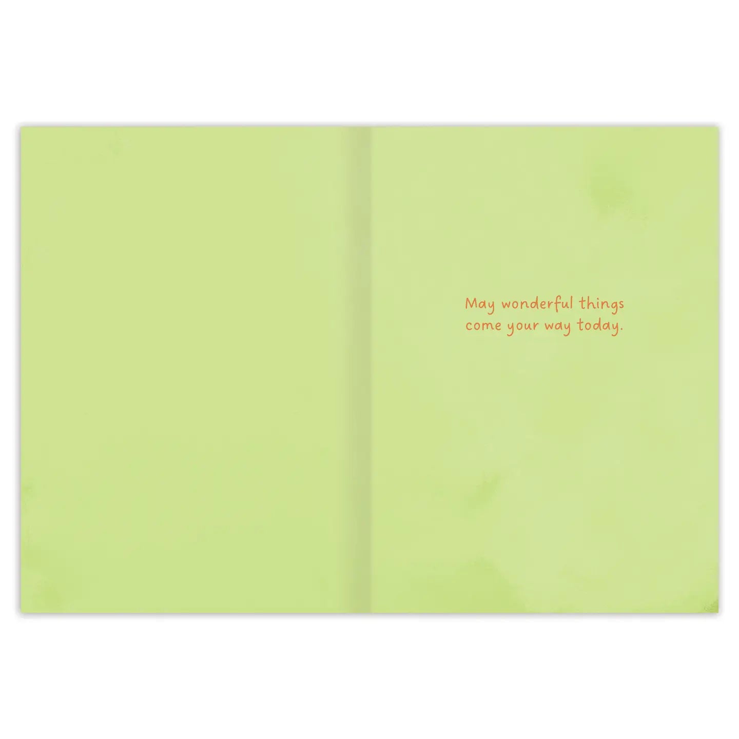 Beautiful City Park Scene Birthday Card - Perfect for Outdoor Lovers & Nature-Themed Celebrations