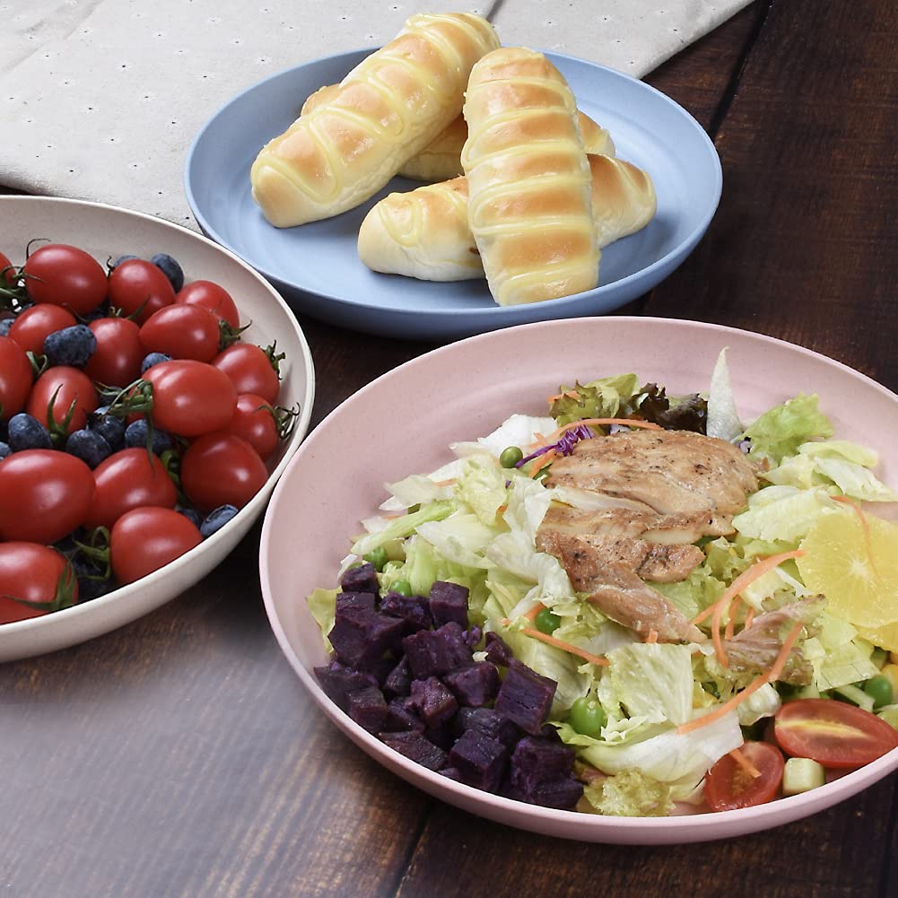 Homchen Unbreakable Plastic Dinner Plates - 4 Pack 8.8 Inch Shatterproof Plates Set for Family, Party, Picnic & Home Use | Durable & Lightweight for Indoor/Outdoor Dining, Camping & Everyday Meals