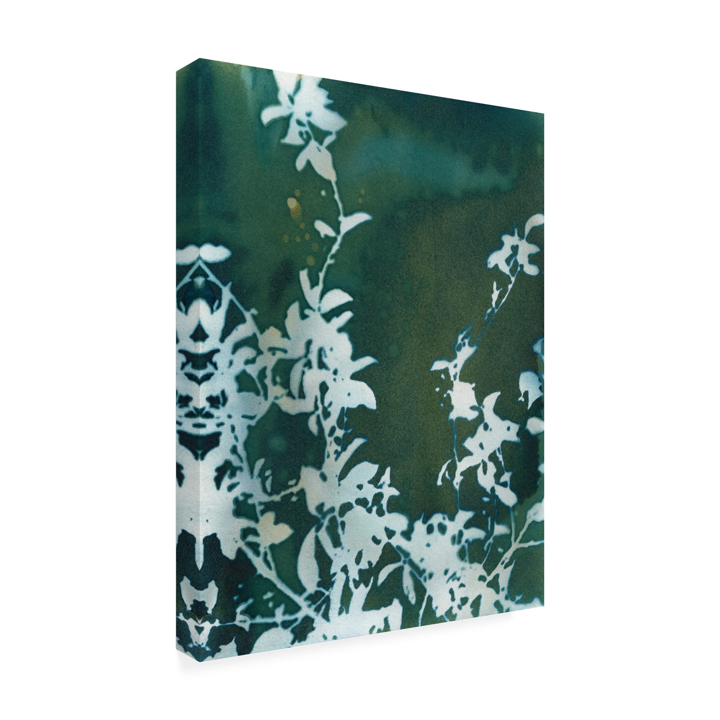 Krista McCurdy 'Dark Garden' Canvas Art Print - Floral Wall Decor for Living Room, Bedroom & Office - Trademark Fine Art Collection