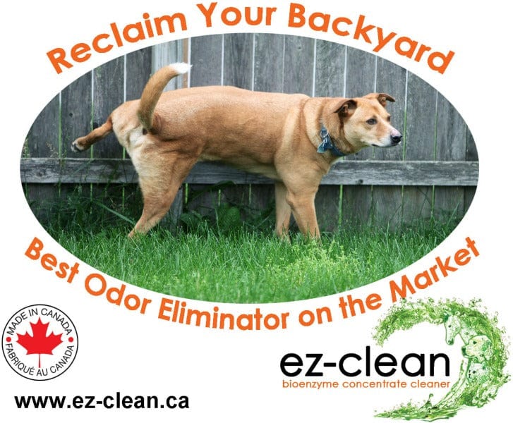 Ez Clean Bioenzyme Cleaner - All-Natural Stain Remover for Clothes, Carpets & Home - Eco-Friendly Laundry & Household Cleaning Solution for Tough Stains & Odors (Perfect for Pet Owners & Families)
