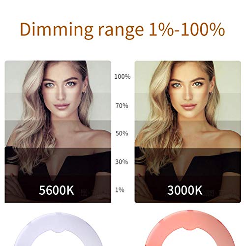 18 Inch 65W LED Ring Light with Stand - Professional Makeup Mirror & Studio Lighting for Photography, YouTube Videos, Selfies, Wedding Photography, Night Shoots - Perfect for Content Creators, Beauty Vloggers & Camera/Phone Videography