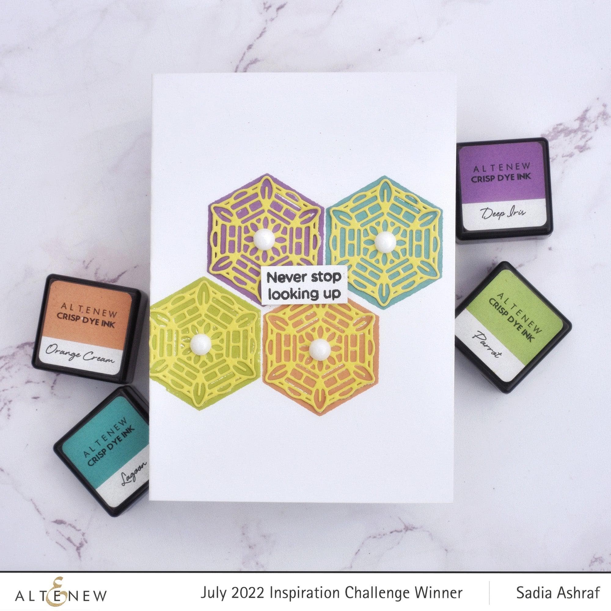 Simply Scientific Mini Stamp & Die Bundle - DIY Crafting Supplies for Scrapbooking, Card Making & Paper Projects | Perfect for Home, Office & School Use