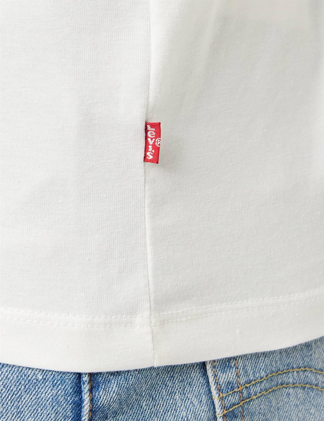 Levi's Men's V-Neck T-Shirt 2-Pack - Soft Cotton Casual Tees for Everyday Wear | Perfect for Work, Gym & Weekend Outfits