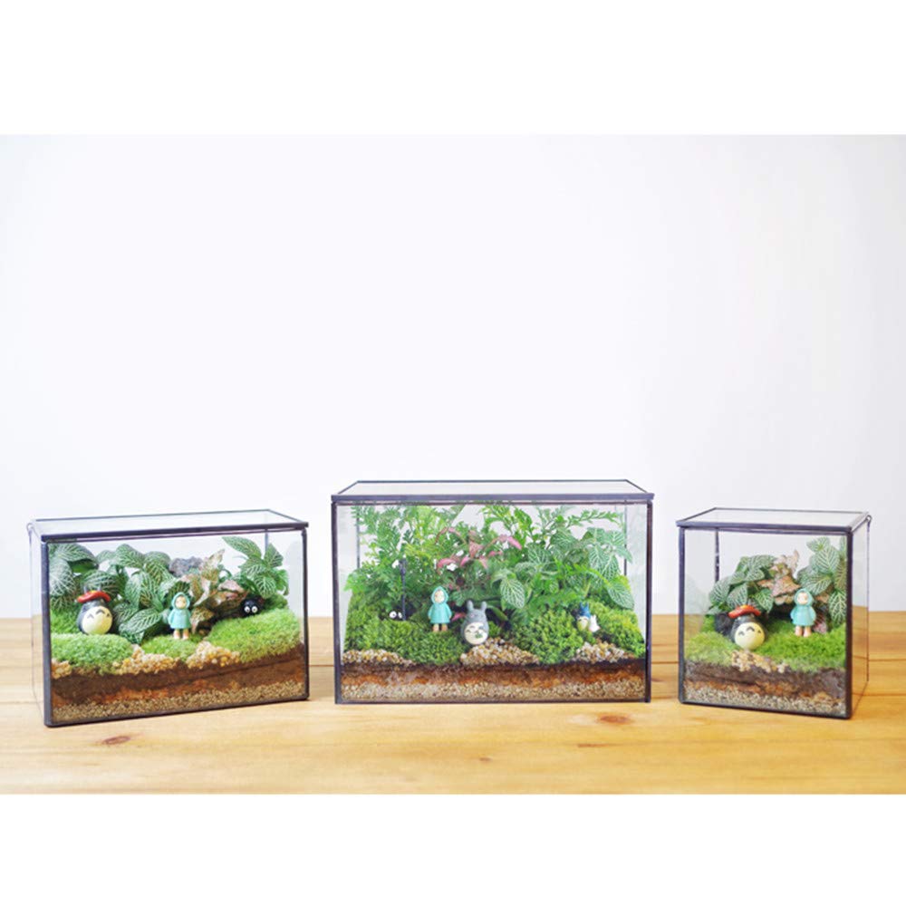 Modern Geometric Glass Terrarium with Lid - 8.3